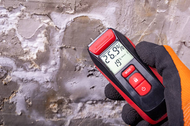 Best Mold Testing  in North Braddock, PA