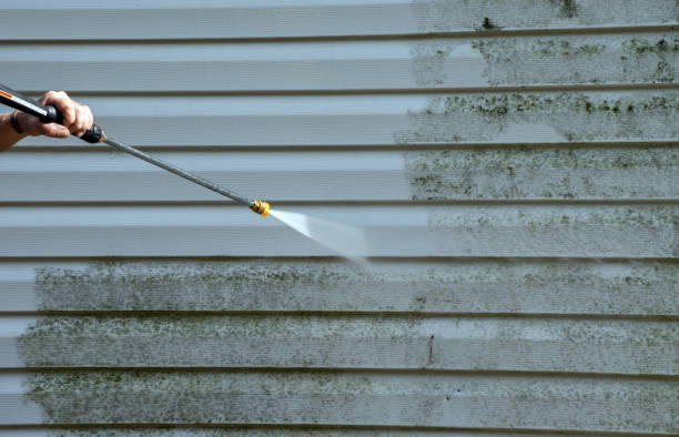 Best Mold Cleaning Services  in North Braddock, PA