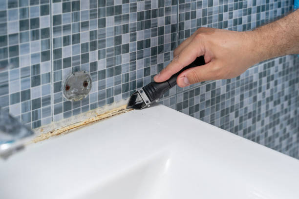 Best Mold Remediation  in North Braddock, PA