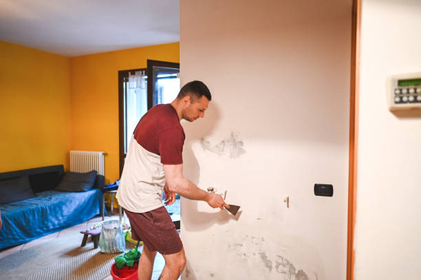 Best Water Damage Restoration  in North Braddock, PA